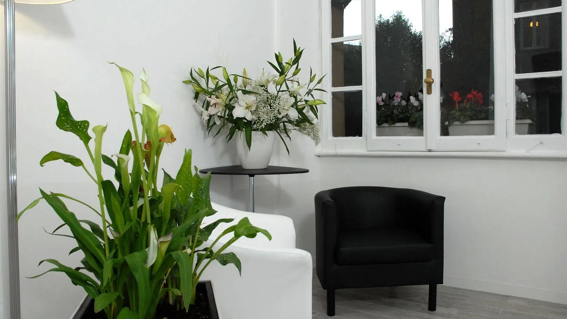** Bed & Breakfast Gardenia Suite Rome Italy