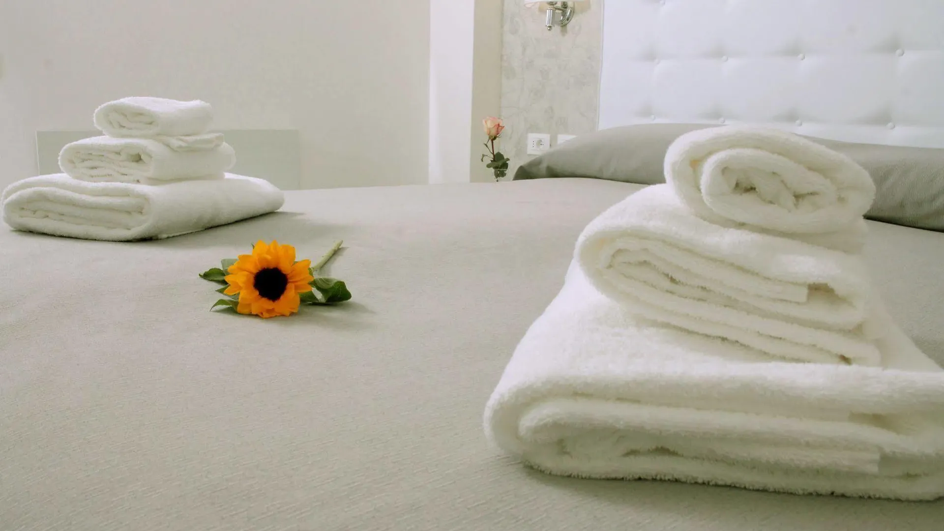 Gardenia Suite Rome Italy