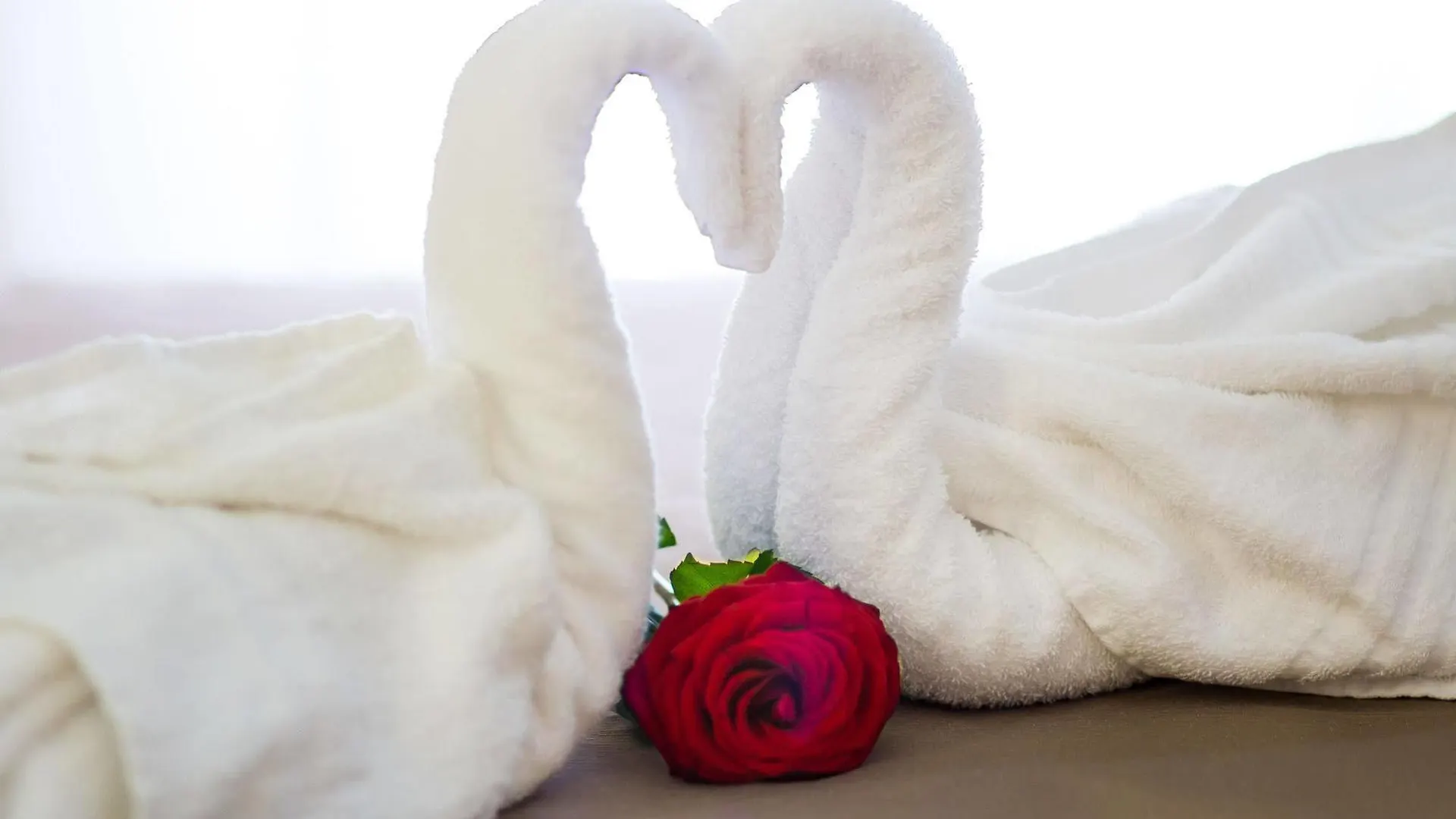 Gardenia Suite Rome